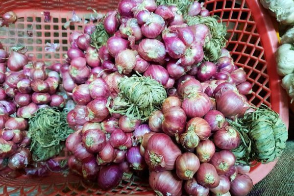 Сайты по продаже наркотиков