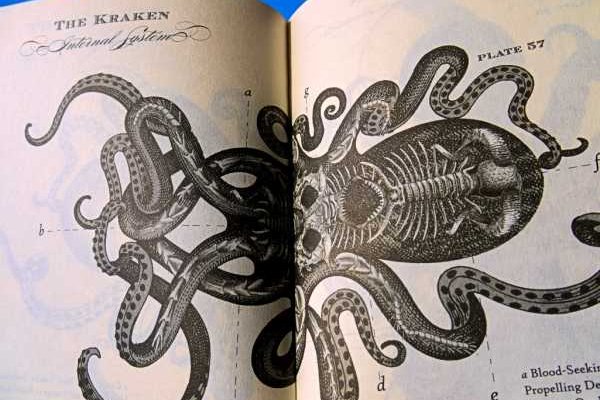 Kraken ссылка для тору
