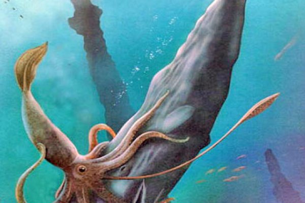 Kraken 19 at