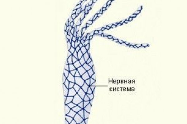 Кракен даркнет только через стор