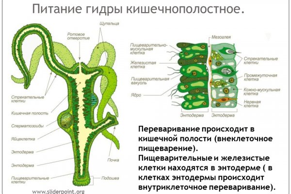 Открыть даркнет