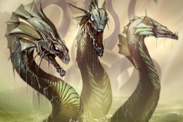Kraken kraken link24 info