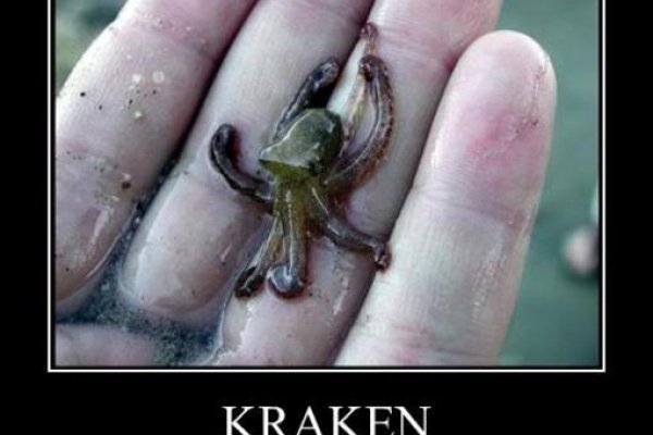 Kraken dark net