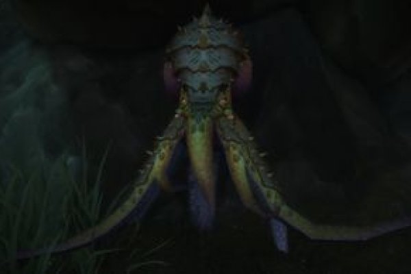Kraken даркнет рынок ссылка