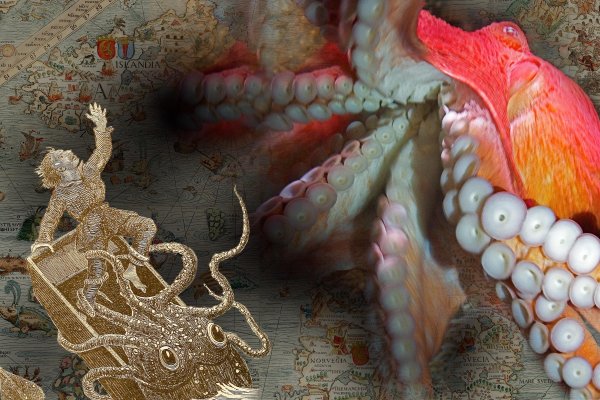Kraken 18