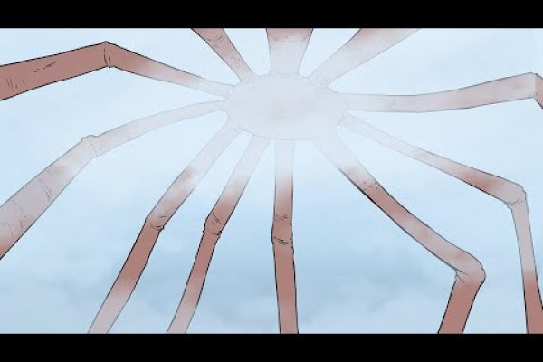 Kraken 13 at
