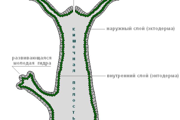 Как найти настоящую кракен даркнет ссылку