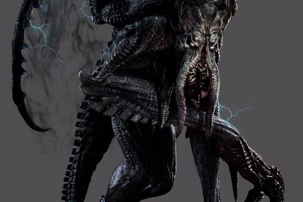 Kraken 25 at
